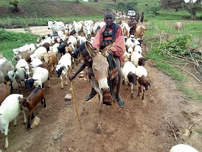 karamoja-pastoralist_dado_400x300